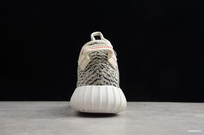 350 Adidas Dove Turtle YEEZY AQ4832 Boost 1001